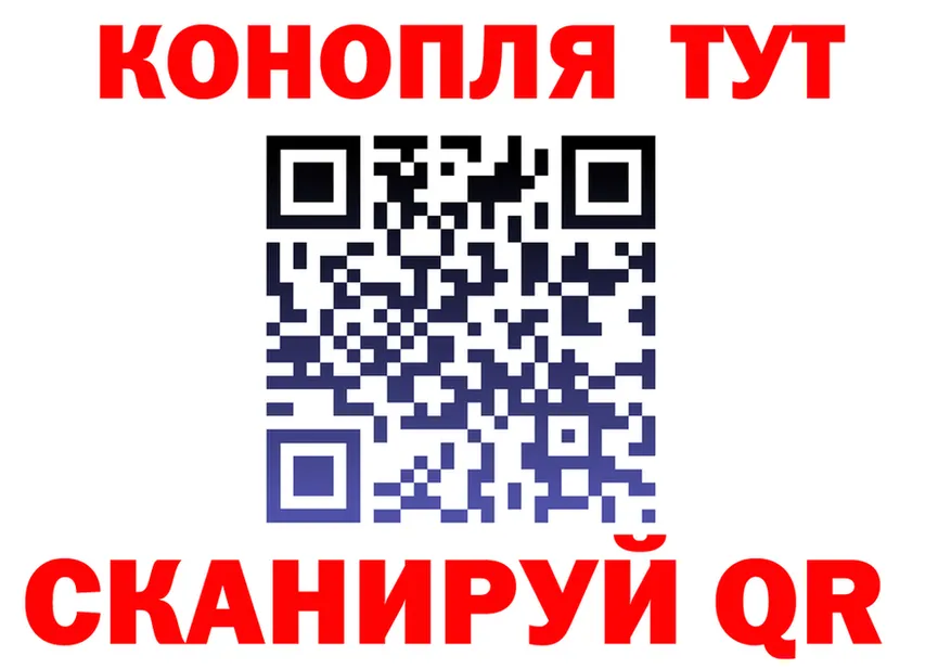 A PVP СК маркетплейс площадка OMG Бикин